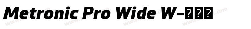 Metronic Pro Wide W字体转换